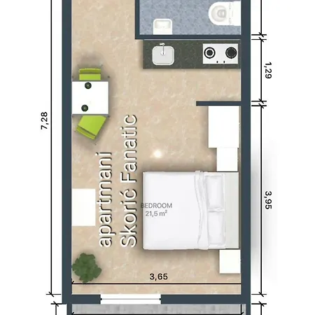 Skoric Fanatic プリモシュテン