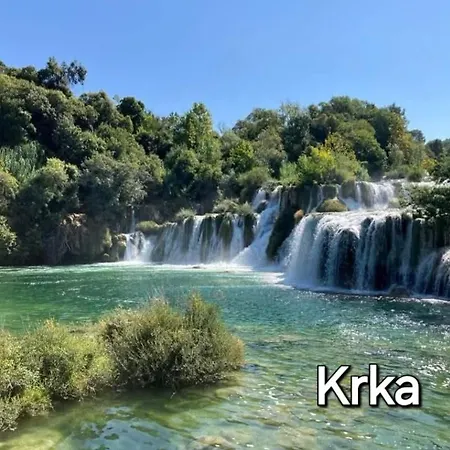 Skoric Fanatic * プリモシュテン